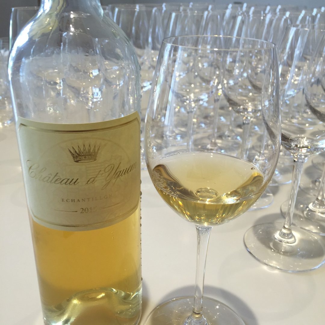 Throwback to a visit to Château d’Yquem, 4/7