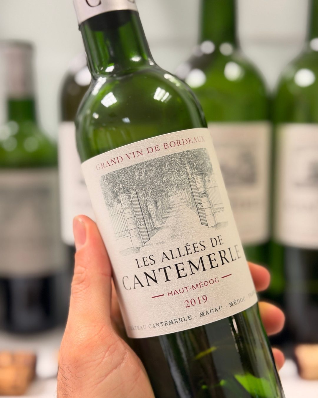 Les Allées de Cantemerle 2019, Haut Médoc, 1/1